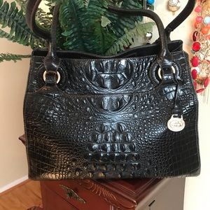 Large Brahmin, Black